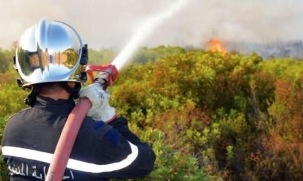  في الحماية المدنية : إطفاء 192 حريقا خلال الأربع والعشرين ساعة الماضية